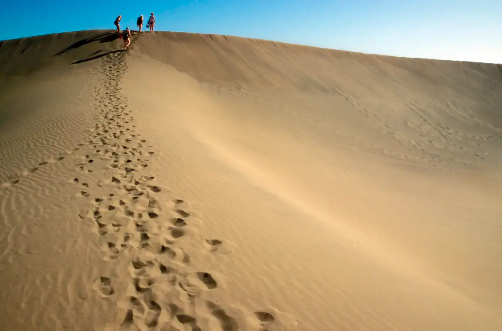 Las Dunas de Maspalomas, uno de los paisajes más reconocibles del sur de Gran Canaria.
