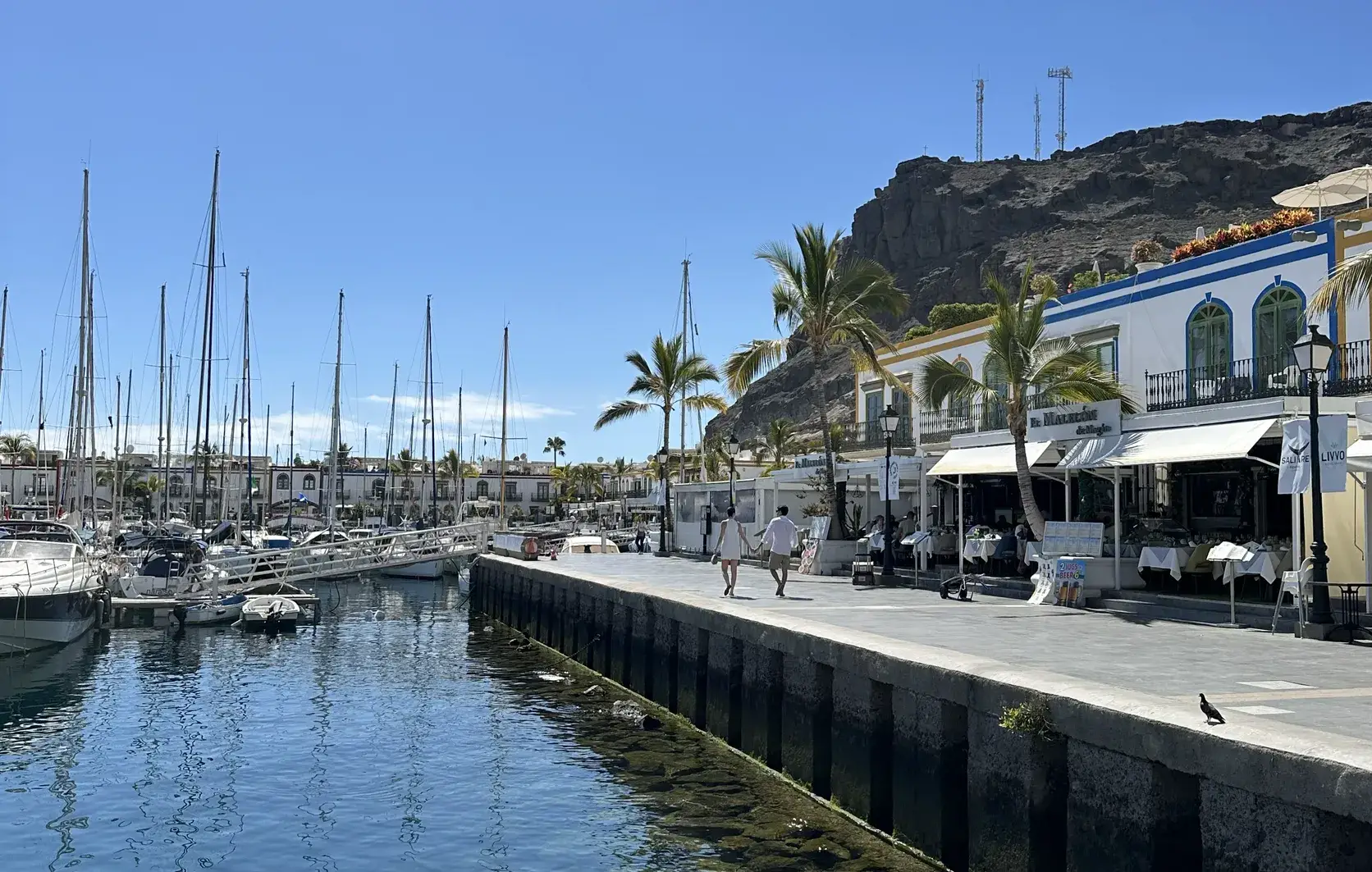 Playa de Mogán y paseo por el puerto 1